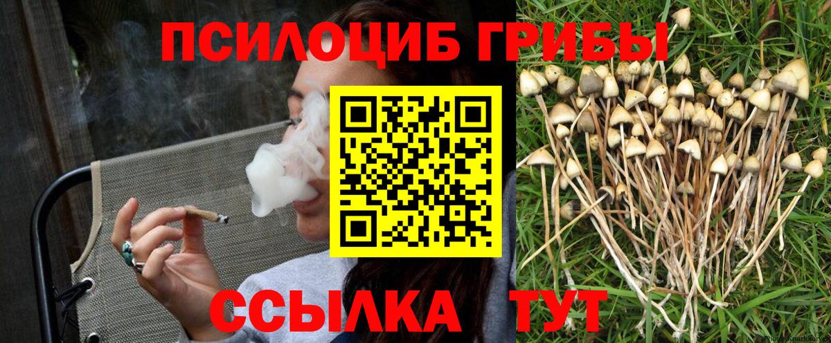 Галлюциногенные грибы GOLDEN TEACHER Кисловодск