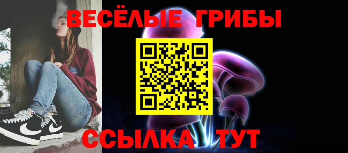 Кисловодск  Псилоцибиновые грибы ЛСД  Вход с VPN 